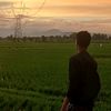 dityya08