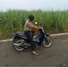 rudal.majapahit