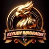 ayyuby_bf