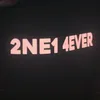 2ne1.4ever