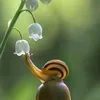 jequjequmy