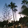 b.el.es