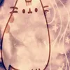 pusheenk_56