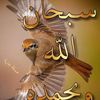 dyi2ncw2re9n