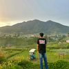 bangkur33