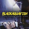 blackaquafish