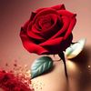 rosa.kost.putri_unnes
