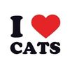 hrts4catszz