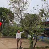 minh.an.hd