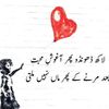 inoxentzeeshan15