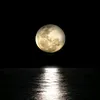 ru__qa24