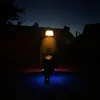 toby_wid