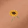 sunflower_cascade