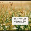 centeno10062001