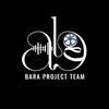 Bara Project Team