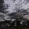 _wh4ynott