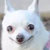 ojcypflhxoyxpygywya