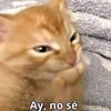 jcarlos_cm