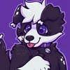 niko_the_silly