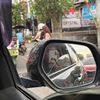 setarboy.gadungan