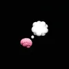 lor_is1