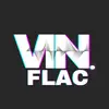 vin.flac