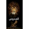 ahmadfauzialaydrus361_