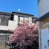 lyhoang8601