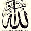 nerminfaried765