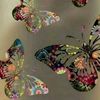 ayanrajput122