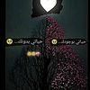 omshaimaa890