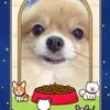 boonchoochoochoti