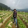 rifangund_