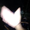 4f1rzyy_