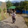 lsalse1