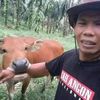 narwhaaall