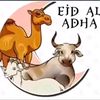 pp.idul_adhaa