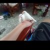 fuckyousmallpink
