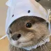 i_like_otters4