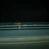 zeery_lv