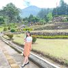 wiidyaaa1__