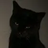 man_youknowxml