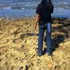 muhamadsidik8247