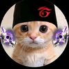 simodff05gaming