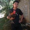 wnistwn