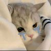 grilrab_anya