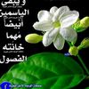 thabetbensalem4