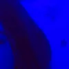 kxra_lkr
