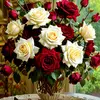_nahid1