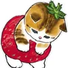 ichigoch.ann